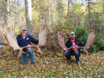 Moose hunt